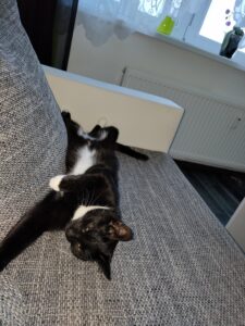 img 20230120 090424257