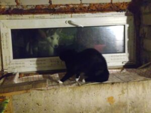 messenger creation a817eab3 b176 4a4d 95c6 671ddcdd91fb