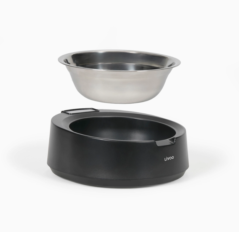 Kuvatõmmis 2026-03-29 160647